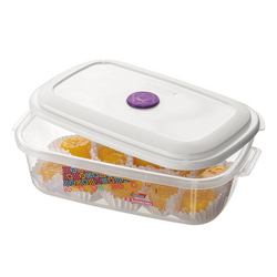 imagem de POTE SANREMO 1 3L RETANGULAR FREEZER