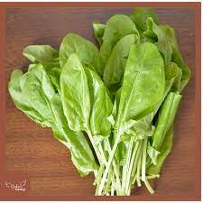 imagem de AZEDINHA KAKAU VERDES UN