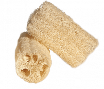 imagem de BUCHA VEGETAL 1UN