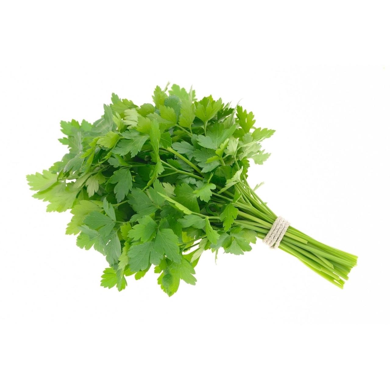 imagem de SALSINHA KAKAU VERDES UN