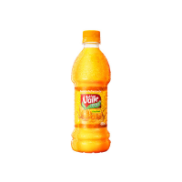 imagem de SUCO DEL VALLE CITRUS FRUT PET 450ML