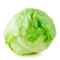 imagem de ALFACE AMERICANA KAKAU VERDES UN
