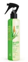 imagem de FINALIZADOR BIO EXTRATUS SPRAY DAY AFTER CACHOS 300ML