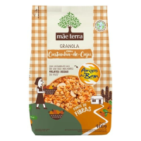 imagem de GRANOLA MÃE TERRA 400G CASTANHA CAJU