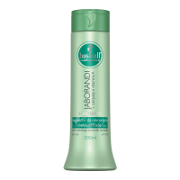 imagem de SHAMPOO HASKELL 300ML JABORANDI