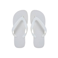 imagem de SANDÁLIA HAVAIANAS TOP 23 24 BCO
